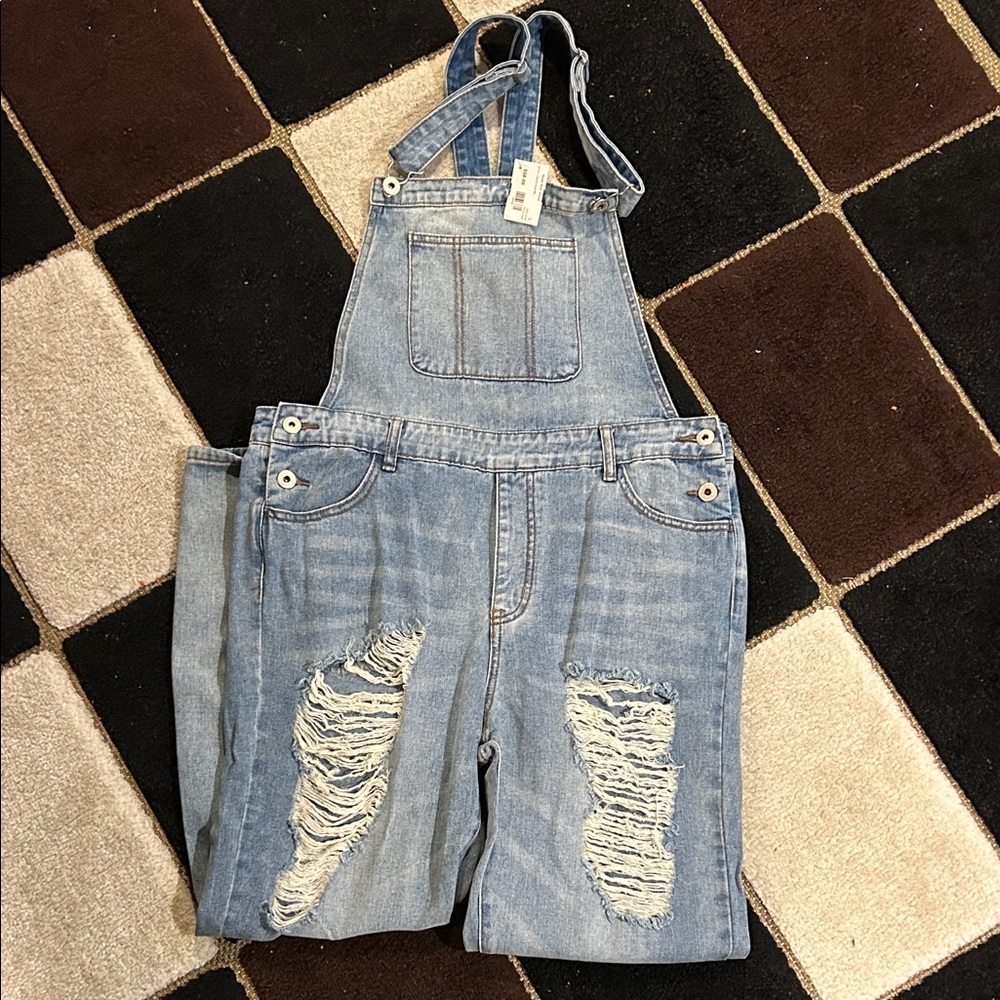 Light Wash Distressed Denim Overalls